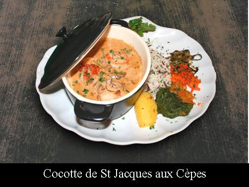 cocotte_st_jacques
